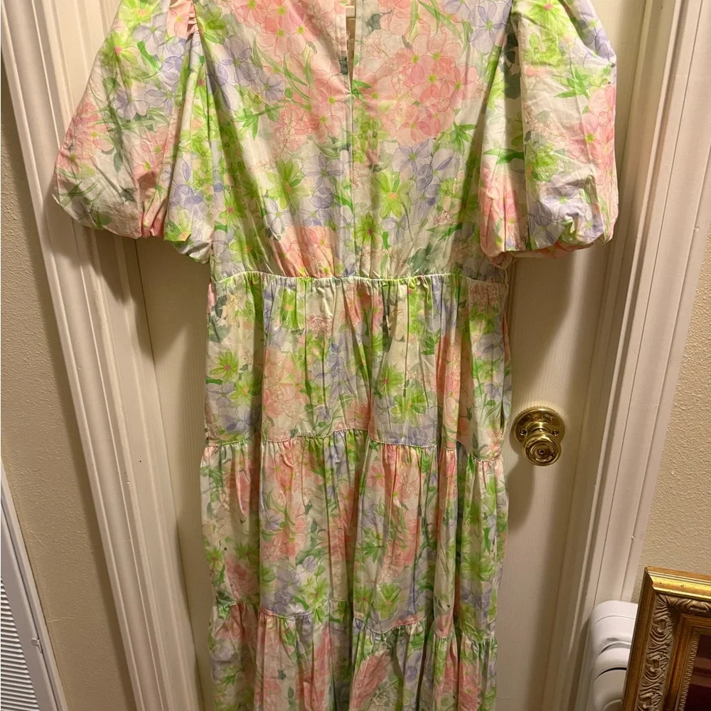 NWT &Merci Floral Fantasy Dress - Picture 5 of 5